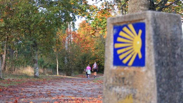 Camino de Santiago trail