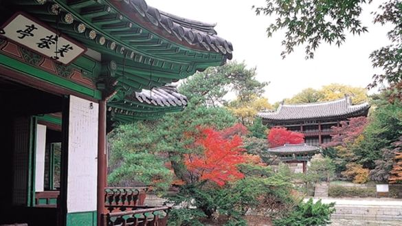 Changdeokgung Secret Garden
