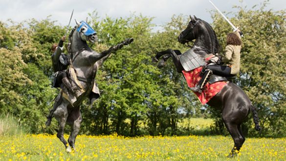 medieval jousting tournament