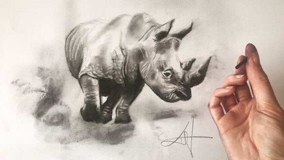 Rhino for Sketch for Survival by Katy Jade Dobson Rhino for Sketch for Survival by Katy Jade Dobson