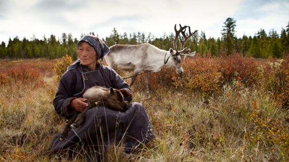 Reindeer Tribes of Mongolia