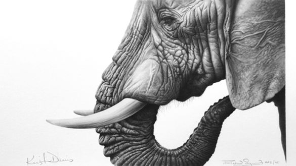 Ele Thoughts by artist Richard Symonds, co signed by Kristin Davis