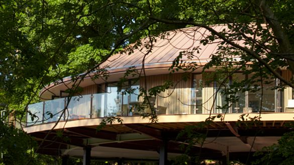 Chewton Glen's Treehouses set in their forest location