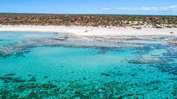 Coral Coast Helicopter Services