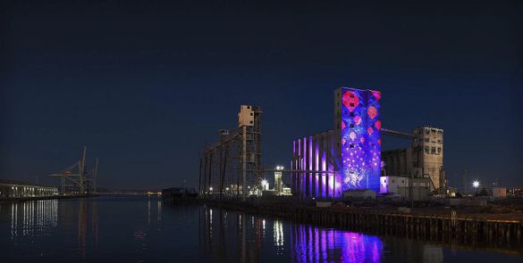 Illuminate SF