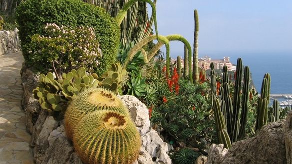 Monaco Exotic Garden 