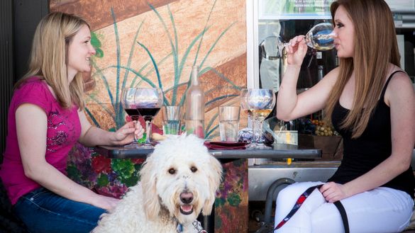 Tualatin Valley is a dog-friendly destination, located just outside of Portland. Dogs are welcome at many establishments, especially at many restaurants with outdoor seating. 