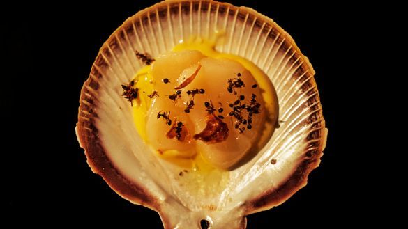 Here's a taste of A Taste of Kakadu: Raw Esperance scallop, brown butter emulsion, green tree ants and scallop chips Here's a taste of A Taste of Kakadu: Raw Esperance scallop, brown butter emulsion, green tree ants and scallop chips