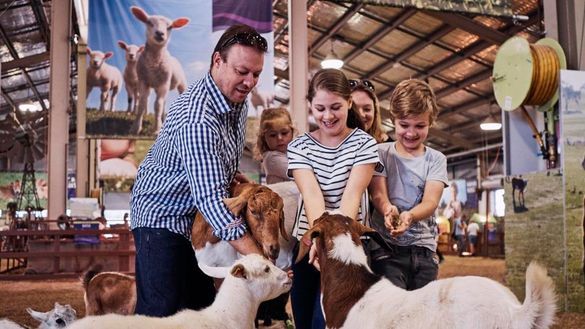 Farmyard Nursery at the Sydney Royal Easter Show