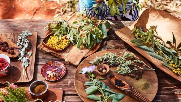 Bush Tucker Journeys at Ayers Rock Resort