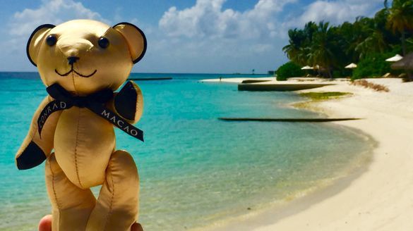 Photo caption: Conrad Macao Facebook fans can win a fabulous hotel stay just by uploading a photo of a Conrad Macao bear on holiday around the world to their Facebook page. Photo caption: Conrad Macao Facebook fans can win a fabulous hotel stay just by uploading a photo of a Conrad Macao bear on holiday around the world to their Facebook page.