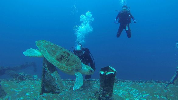 Dive SCUBA, Pensacola