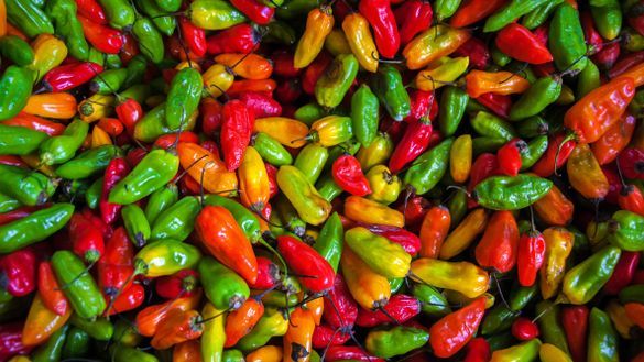 Latin America food colours