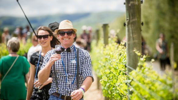 Festival-goers enjoying Toast Martinborough 