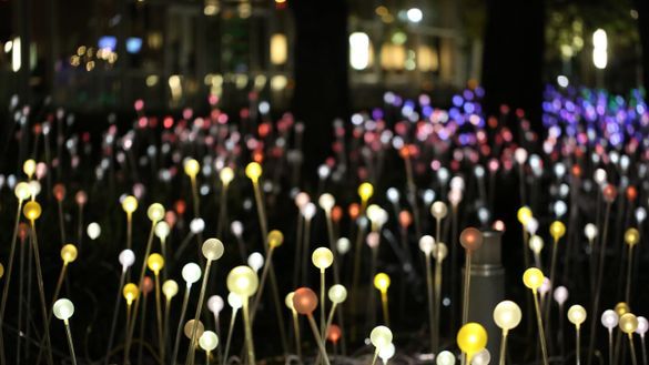 Discovery Green_Field of Light_2014.