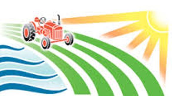 Florida Agritourism Association Florida Agritourism Association