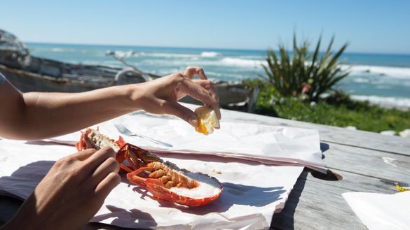 Crayfish Kaikoura-Canterbury-Sara-Orme Crayfish Kaikoura-Canterbury-Sara-Orme