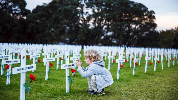 National Field of Remembrance at Auckland Domain