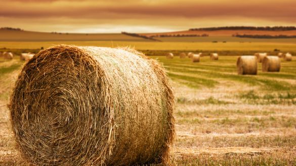 Chimu donated a bale a booking for August bookings