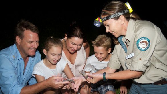 Mon Repos Turtle Encounter