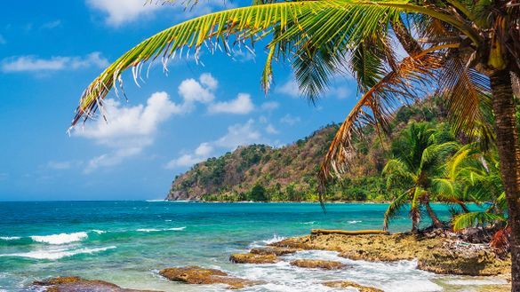 IE guests explore the Pacific coasts of Costa Rica and Panama.