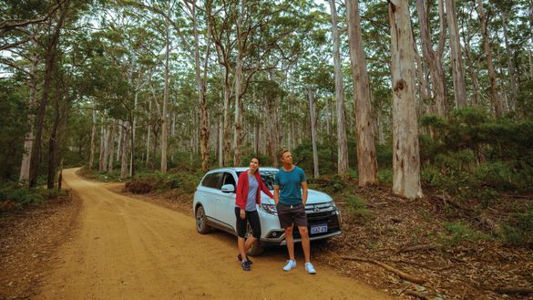 Boranup Karri Forest