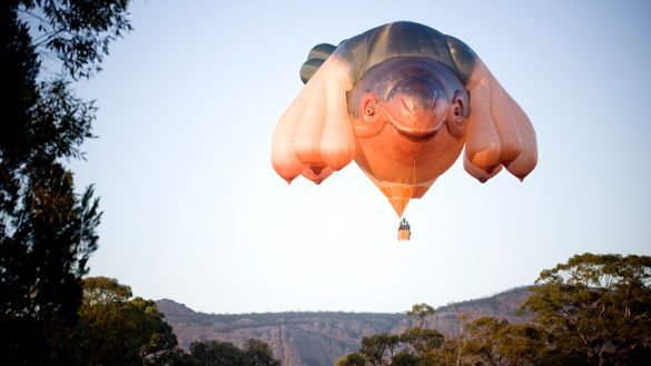 Patricia Piccinini, Skywhale 2013