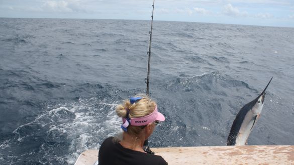 Angler Alisa Schofield hooks a black marlin on the Fraser Coast.