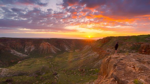 Cape Range National Park, Ningaloo, Western Australia