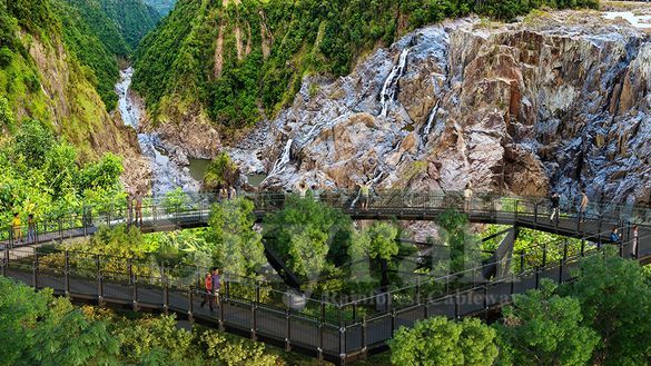 The spectacular Barron Falls can be seen from The Edge Lookout, a glass-bottom platform at Skyrail Rainforest Cableway.