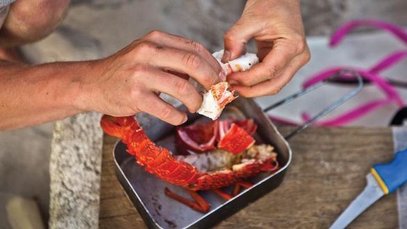 Fresh Crayfish from the East Coast of Tasmania Fresh Crayfish from the East Coast of Tasmania