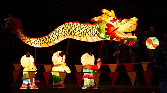 The popular Dragon Dance lantern shines at Auckland Lantern Festival