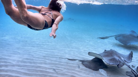 Swimming with stingrays Swimming with stingrays