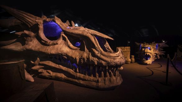 Dragon Skull Pit Dragon Skull Pit