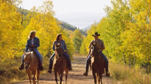 Horse riding above Park City