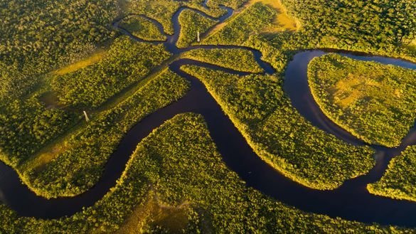 Brazilian Amazon from above