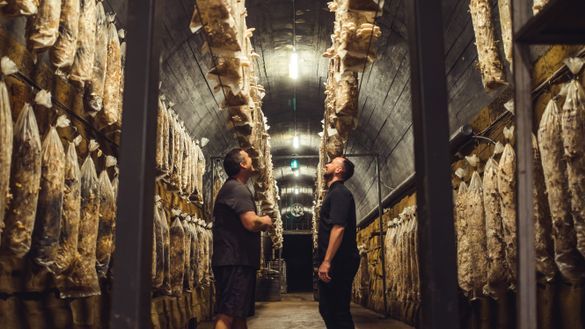 Off the Table Tours Mushroom Tunnel