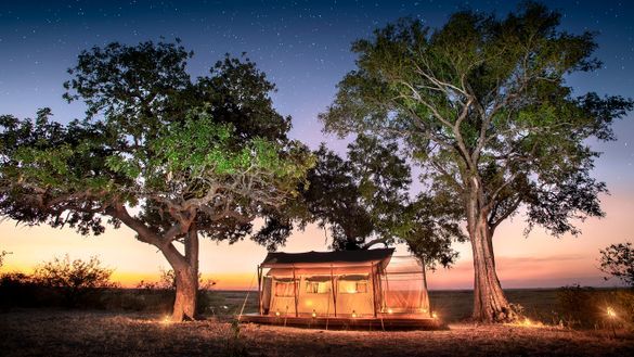 BOTSWANA: Linyanti Expeditions 