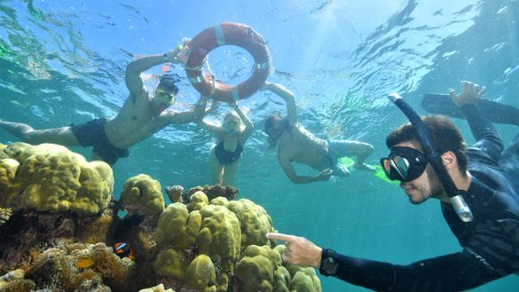 Master Reef Guide Pablo Cogollos take passengers on Sunlover Reef Cruises on a guided snorkelling tour. Image: Calypso Reef Imagery