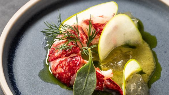 Newlyn lobster, nettle gazpacho, elderflower jelly, Granny Smith apple