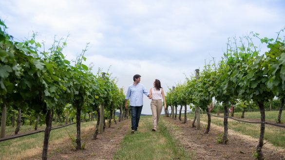 Walking through the vines as Courabyra Wines, Tumbarumba
