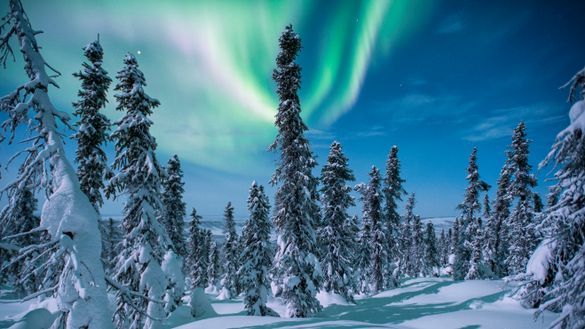 Northern lights on the Dempster Highway, Yukon