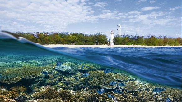 Lady Elliot Island Eco Resort
