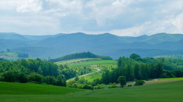 Patchwork Road - Biei, Hokkaido