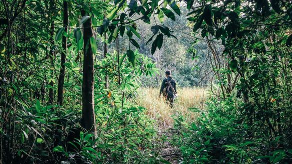 Shinta Mai Wild Wildlife Alliance Ranger