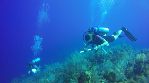 AGGRA Surveys 2018