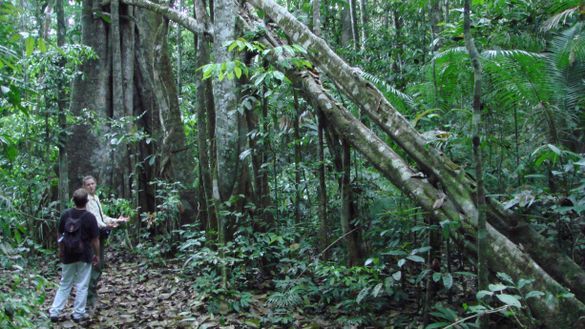 Guide and guest in Brazilian rainforest reserve