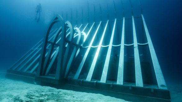 Coral Greenhouse, John Brewer Reef