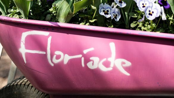 Floriade's signature wheelbarrows 