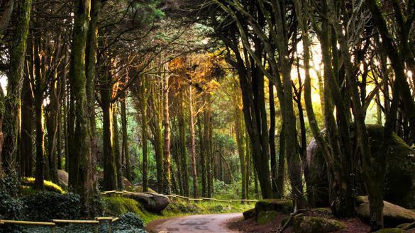 Sintra Sintra